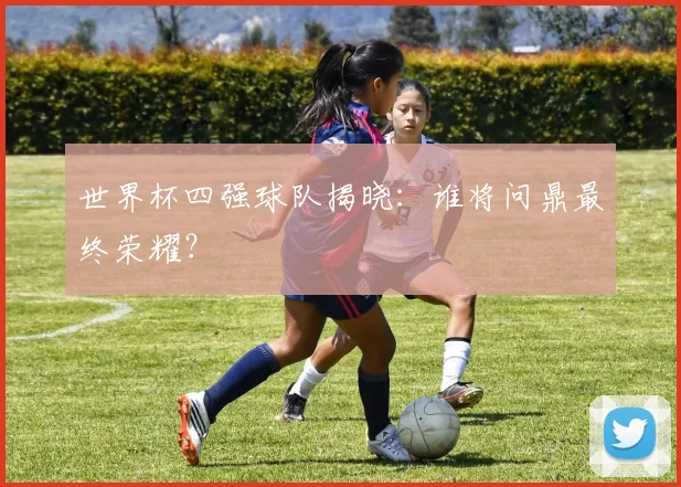 世界杯四强球队揭晓：谁将问鼎最终荣耀？