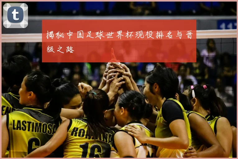 揭秘中国足球世界杯现役排名与晋级之路