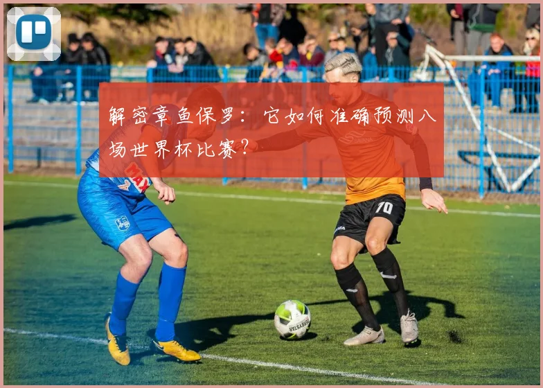 解密章鱼保罗：它如何准确预测八场世界杯比赛？