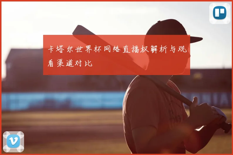 卡塔尔世界杯网络直播权解析与观看渠道对比