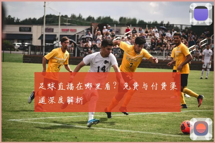 足球直播在哪里看？免费与付费渠道深度解析
