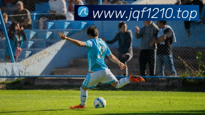 开云app官方入口网页版发展历程